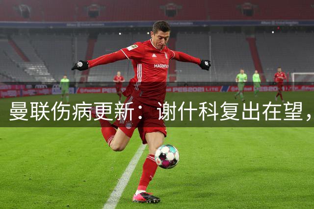 曼联伤病更新：谢什科复出在望，芒特归期延后