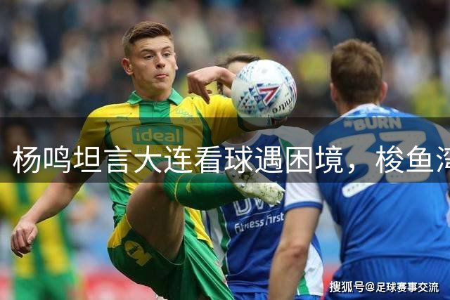 杨鸣坦言大连看球遇困境，梭鱼湾球票一票难求