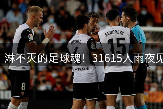 淋不灭的足球魂！31615人雨夜见证湛江逆袭登顶