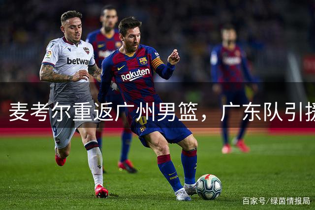 麦考尔重返广州男篮，广东队引援战略陷入空前质疑